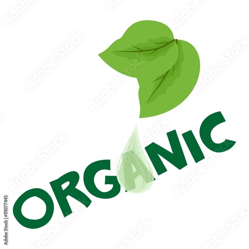 the eco life
