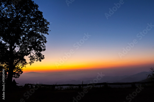 Big tree silhouetted with layer of mountain and skyline after sunset
