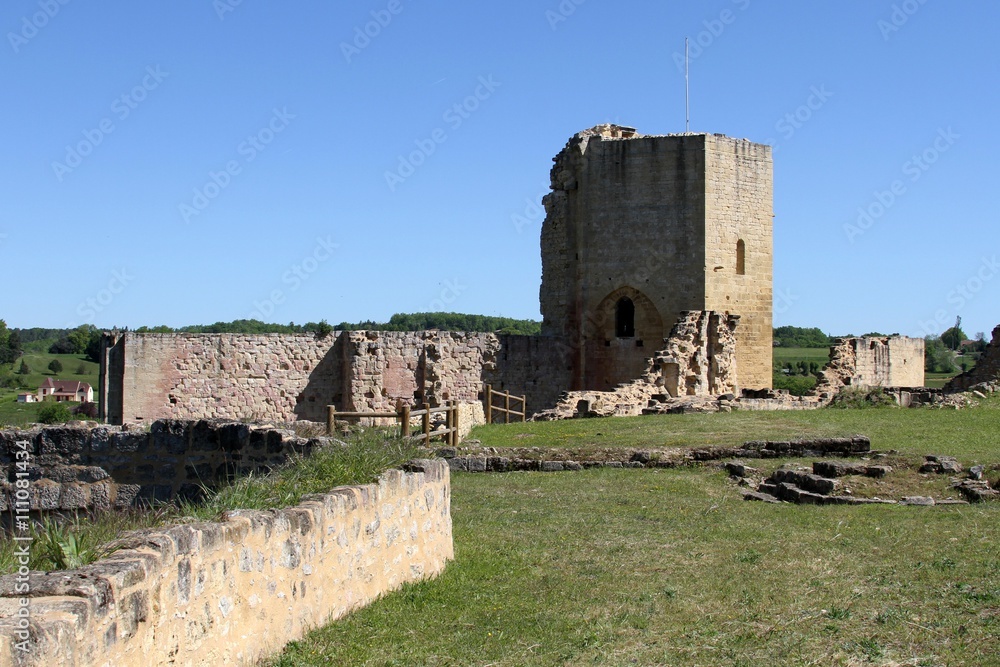 village et château de Carlux,Dordogne,Périgord noir