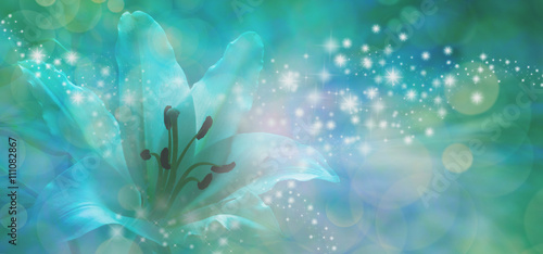 Fototapeta Naklejka Na Ścianę i Meble -  Sparkling Lilly Banner - beautiful lily with glitter and sparkles radiating outwards from the center on a jade green and blue bokeh background with copy space
