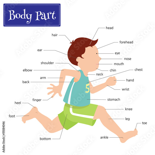 Name of body parts that can be seen externally. Captions on a boy