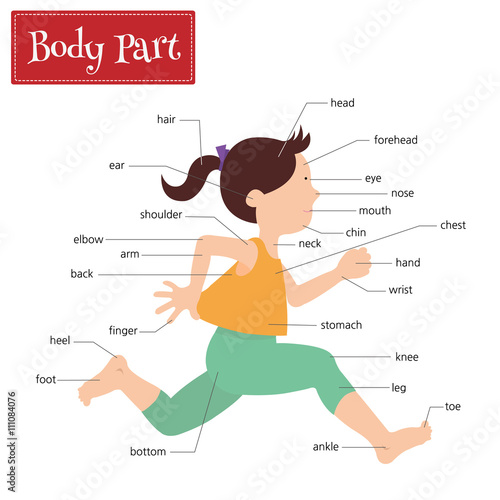 Name of body parts that can be seen externally. Captions on a girl