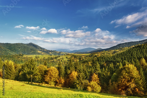 Fototapeta Naklejka Na Ścianę i Meble -  Carpathian Mountains