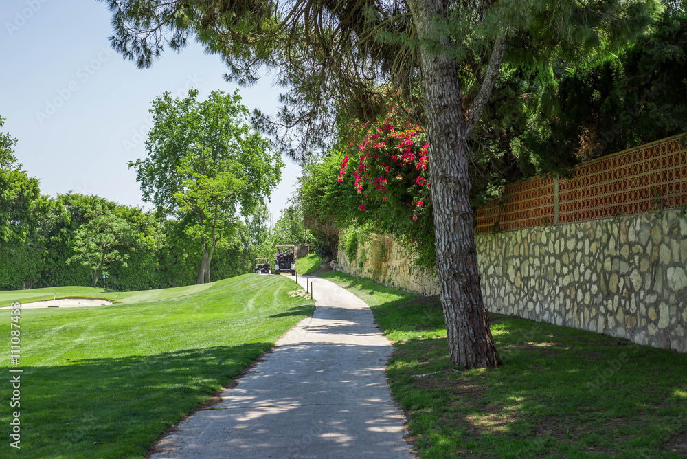 Obraz premium Golf course with tree and road