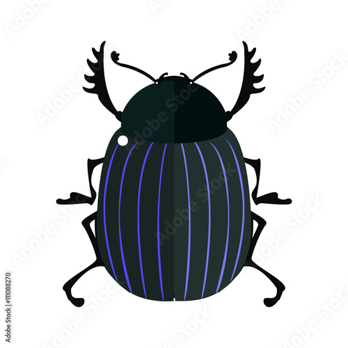 Isolated Scarab bug.