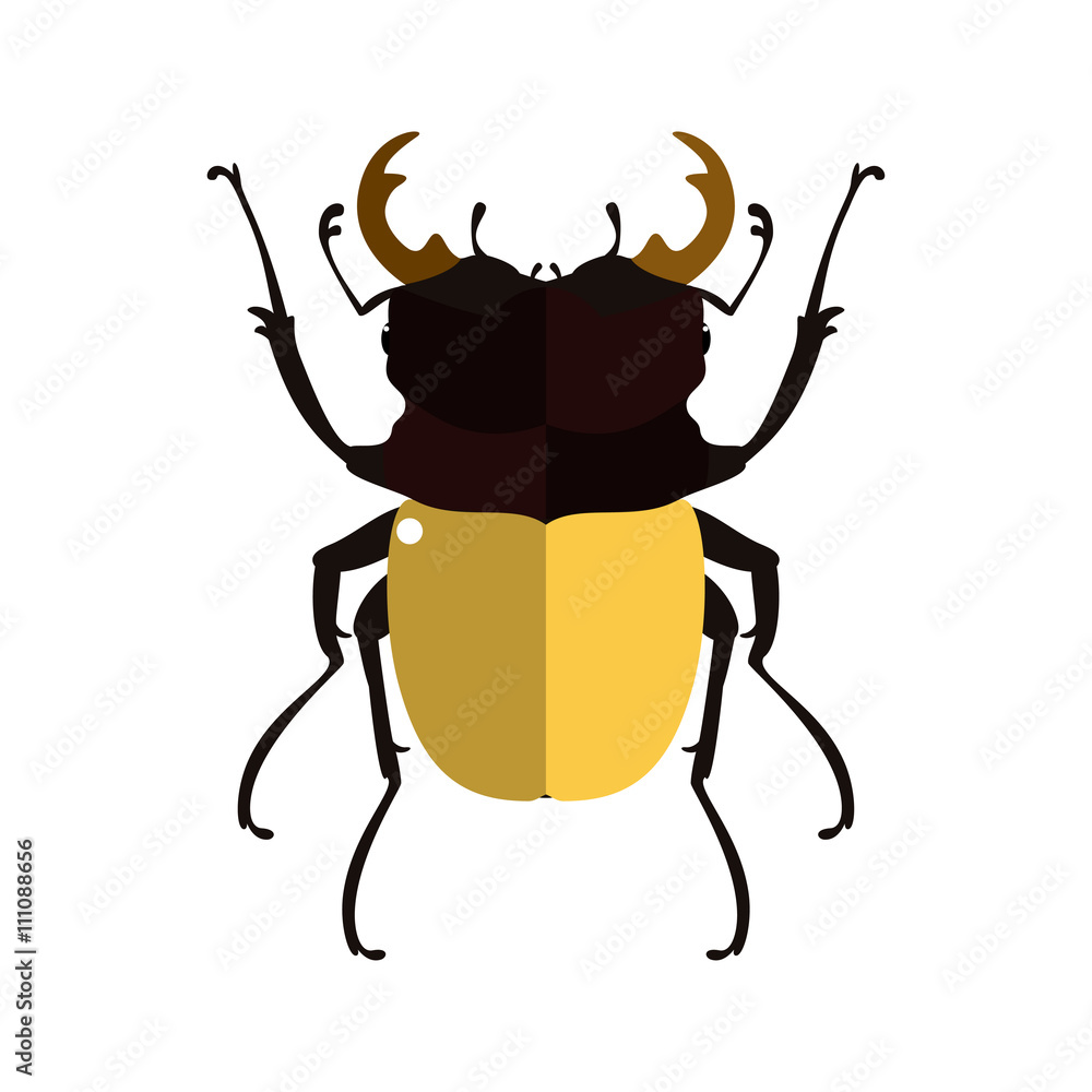 Fototapeta premium Vector illustration of a stag beetle.
