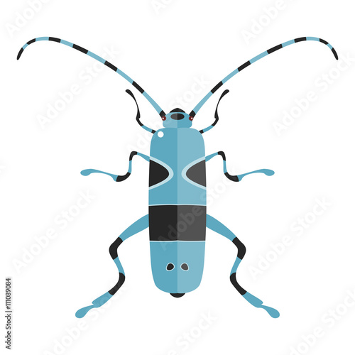 Isolated Rosalia Alpina.