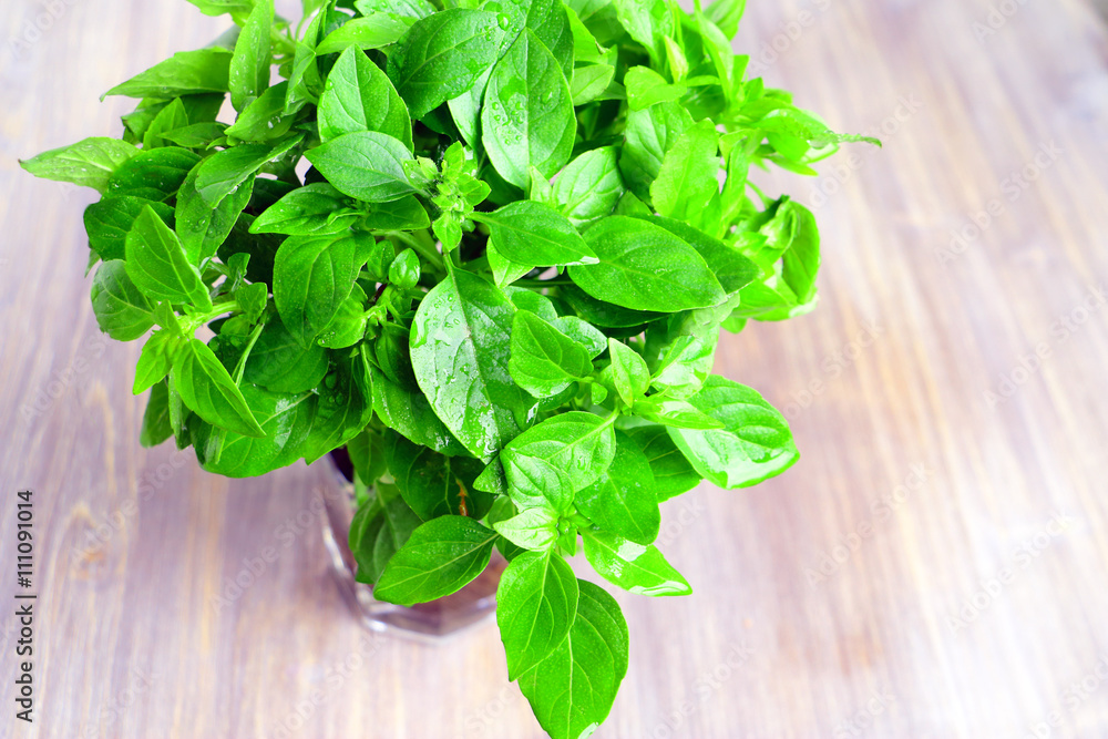 Wet fresh basil (herbs) in the cone of paper on a wooden table Wet fresh basil (herbs) in the cone of paper on a wooden table