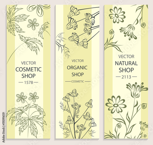 Floral, decorative, botanical banner