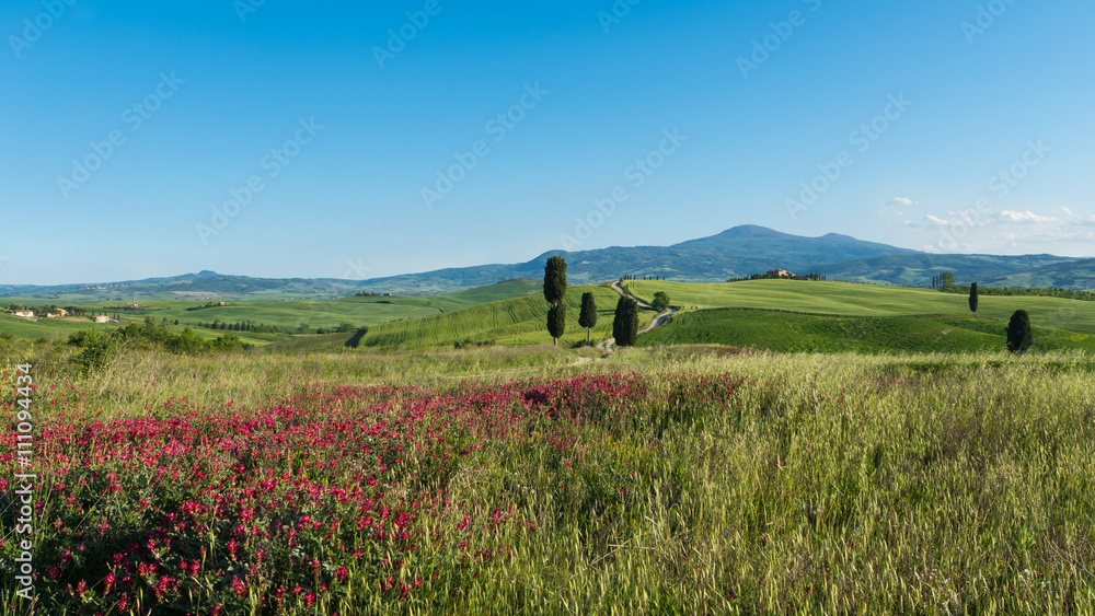 Terrapille in der Nähe von Pienza