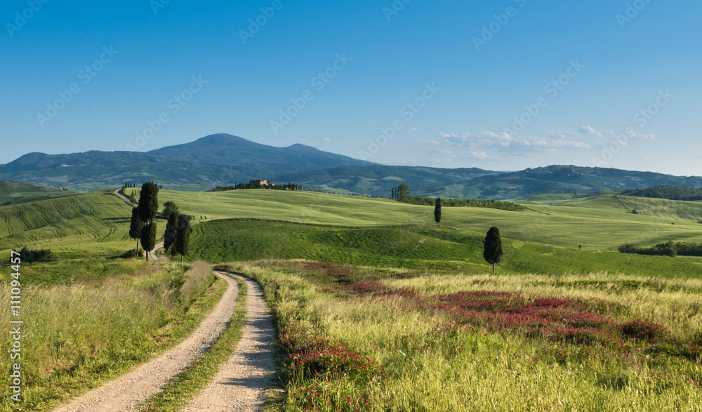 Terrapille im Val d´Orcia, in der Nähe von Pienza