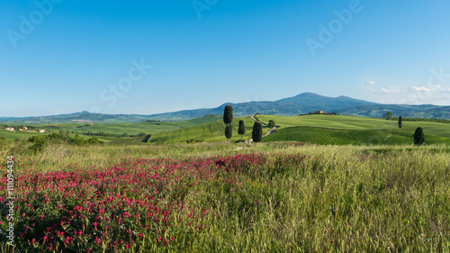 Obraz na płótnie Terrapille in der Nähe von Pienza w salonie
