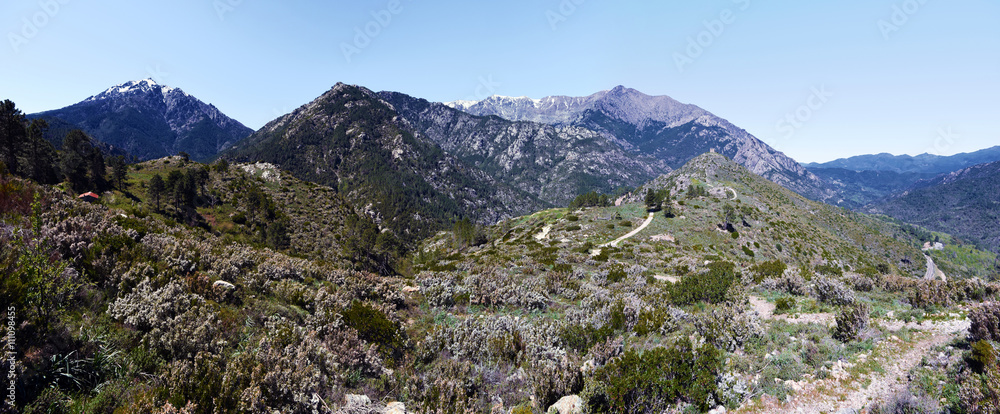 Fototapeta premium Landscape of central Corsica seen from Vivario commune