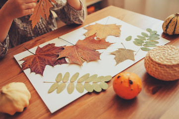 preparations for autumn craft with kids. Herbarium from dried leaves. Learning children at home, fall nature collage.