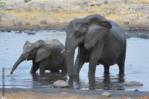 Elefanten am Wasserloch im Etosha Nationalpark