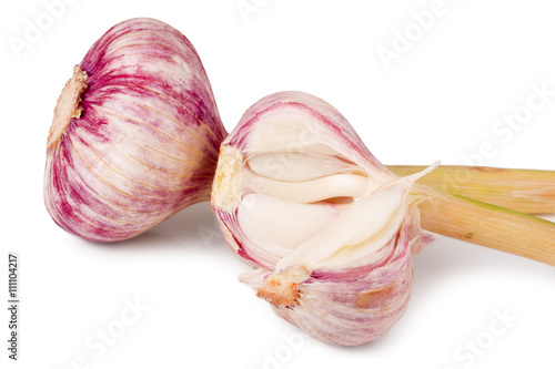 two fresh garlic head isolated on white background