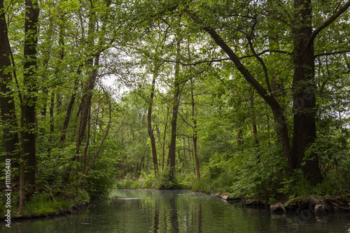 Spreewald