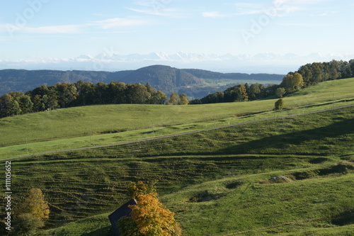vue des alpes