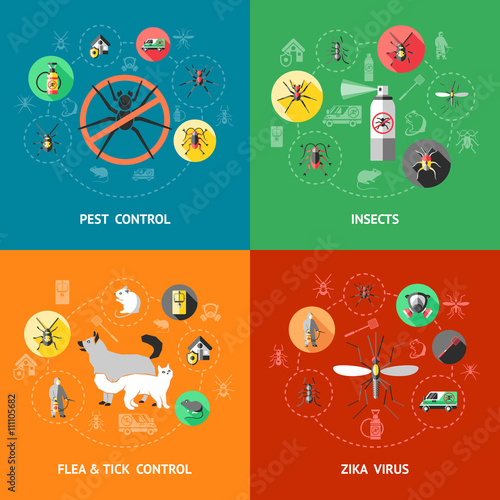 Pest Control Concept