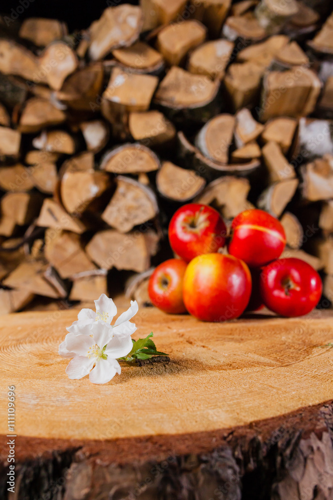 some apples and flowers on the stump in the background of birch wood