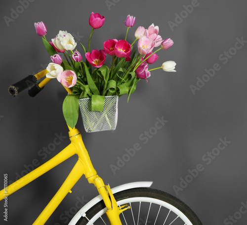 Beautiful tulips in basket of bicycle on grey wall background