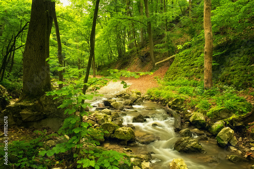 Flowing stream in beautiful forest