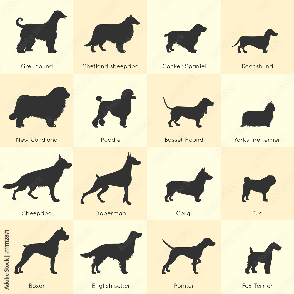 Dogs Breed Icon Set