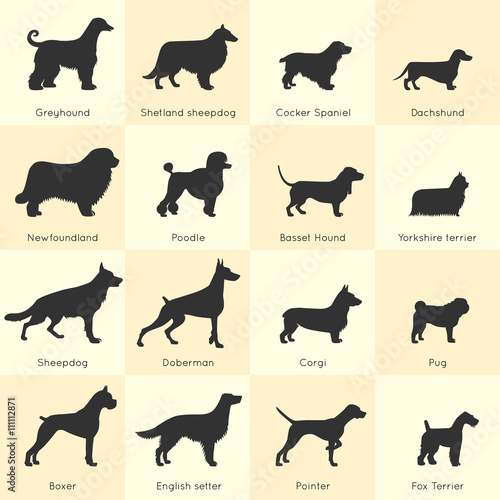 Dogs Breed Icon Set