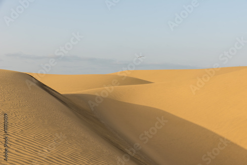 Sahara desert - beautiful landscape with sand dunes