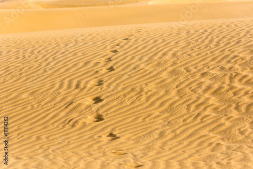 Sahara desert - beautiful landscape with sand dunes © Simon Dannhauer