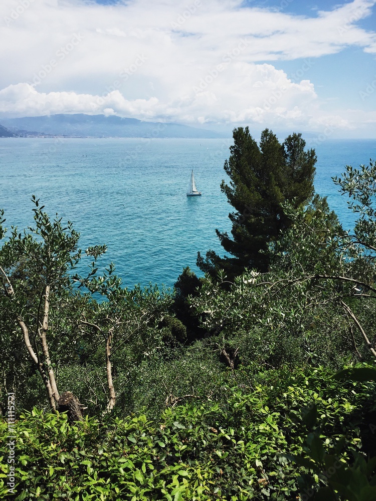 Obraz premium Voilier