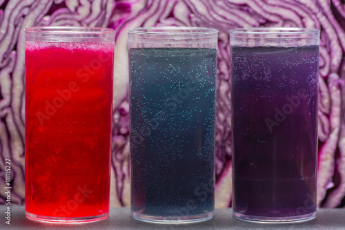 Bild auf Leinwand Red cabbage pH indicator solution