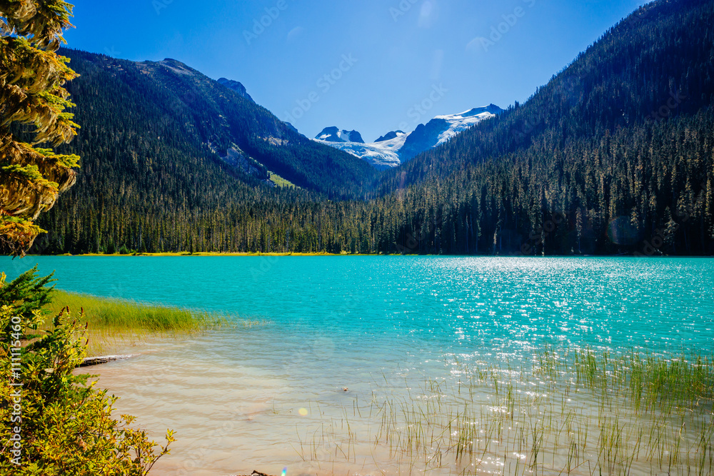 Lower Joffre Lake, Joffre Lake Provincial Park, BC, Canada
