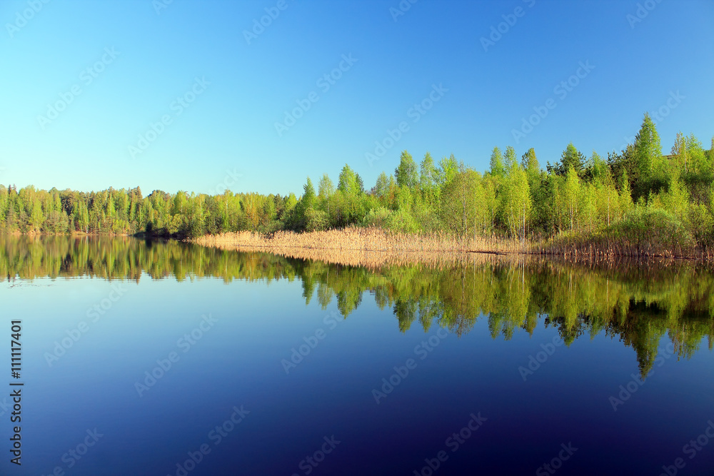 Fototapeta premium отражение на воде