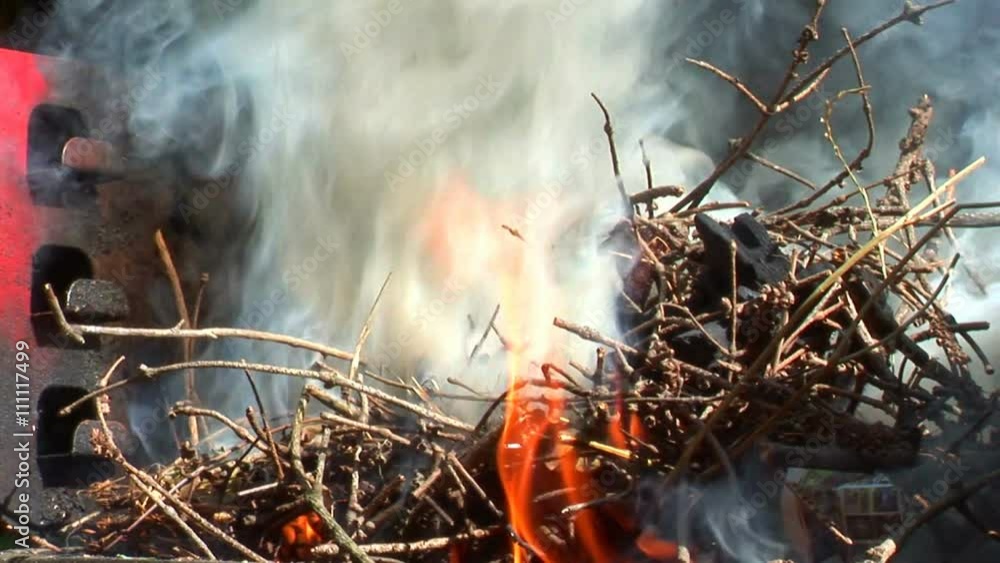 Real fire, close-up. Flames, smoke and ember
Real fire, close-up. Flames, smoke and ember