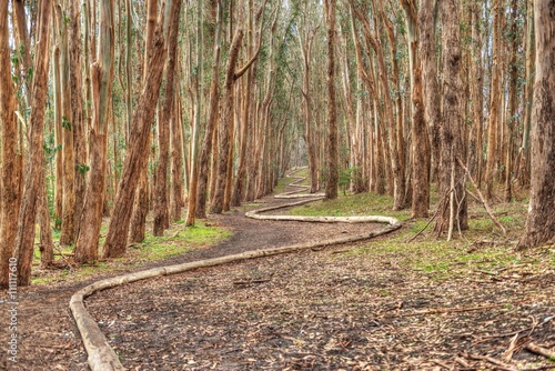 Canvastavla Lover's Lane