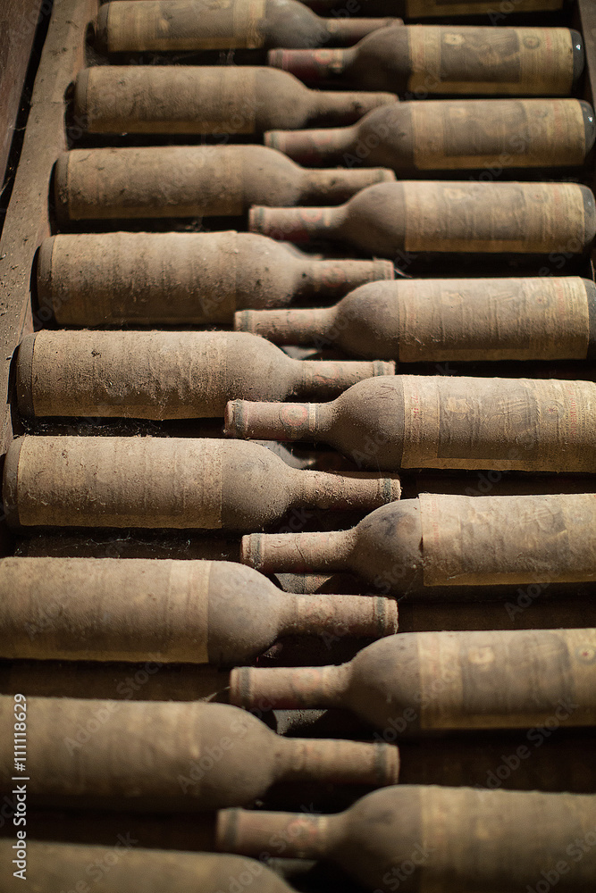 Wine Bottles in Cellar Wine Bottles in Cellar