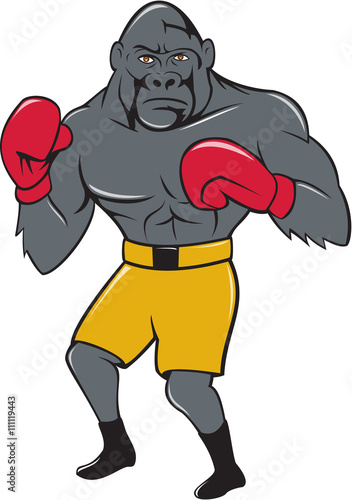 Gorilla Boxer Boxing Stance Cartoon
