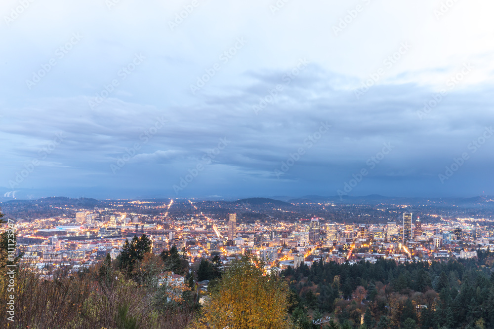 cityscape and skyline of portland on view from forest cityscape and skyline of portland on view from forest
