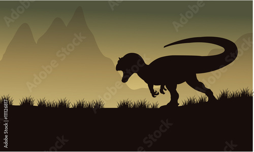 Allosaurus silhouette in fields