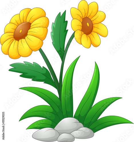 Sun Flower cartoon