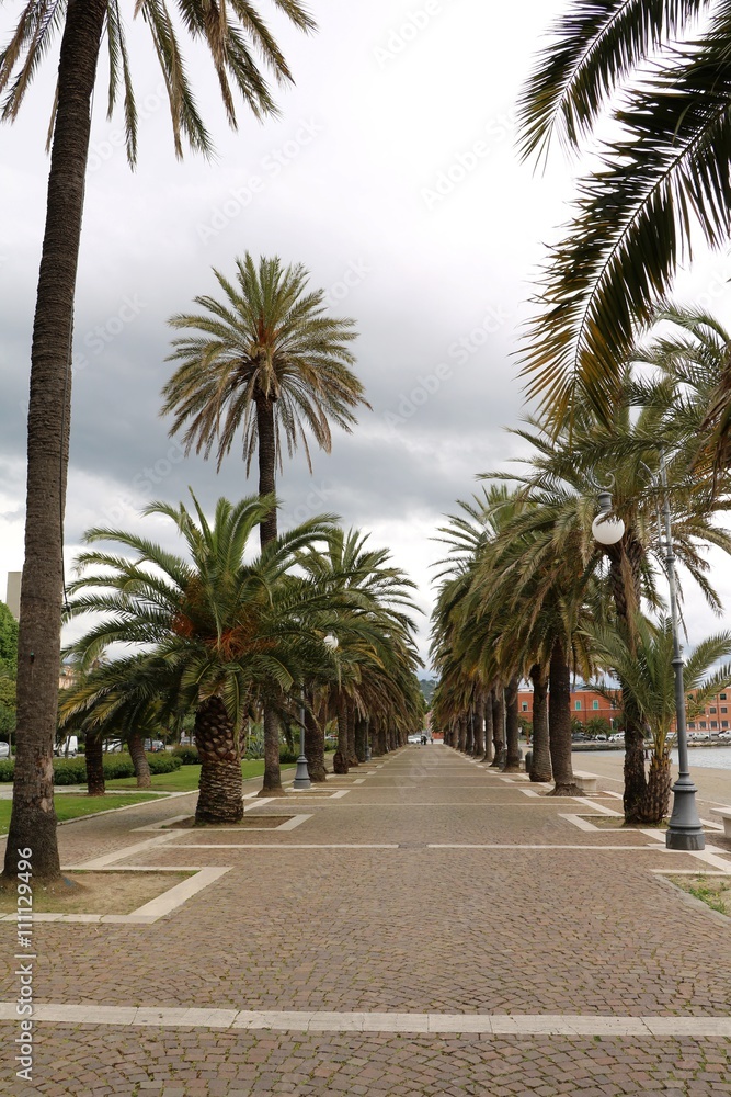 Palms on the lakeside promenade in La Spezia, Mediterranean Sea Italy