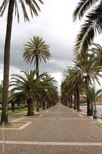 Palms on the lakeside promenade in La Spezia, Mediterranean Sea Italy © ClaraNila