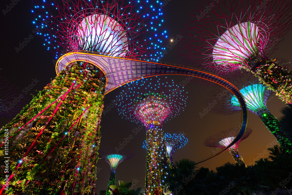 Fototapeta premium Supertree ogród nocą, ogród nad zatoką w Singapurze