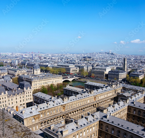 Roofs of Paris photographed from the tower of Notre-Dame