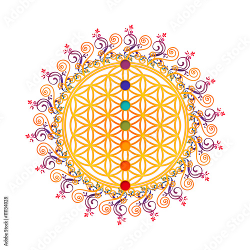 Fototapeta Naklejka Na Ścianę i Meble -  Flower of life, sacred geometry, chakras