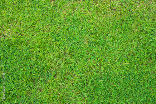 Green artificial turf pattern ,texture for background © noppharat