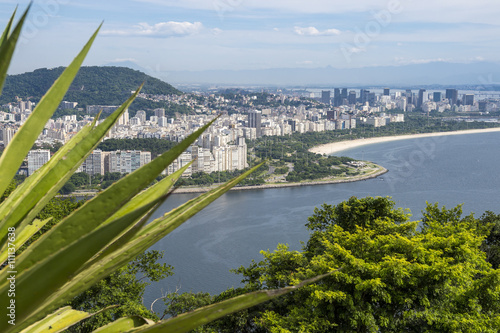 Scenic skyline view of the Botafogo and Flamengo neighborhoods at Guanabara Bay in Rio de Janeiro, Brazil from the greenery of Sugarloaf Mountain photo