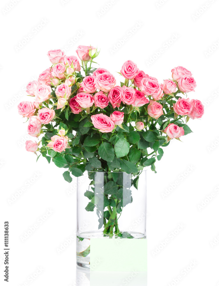 Bouquet of roses in the vase on white background Bouquet of roses in the vase on white background