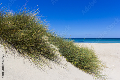 Salento  sand dunes